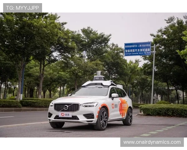 凯发足球官网网址安全登录指南，确保您的账户信息安全与顺畅体验